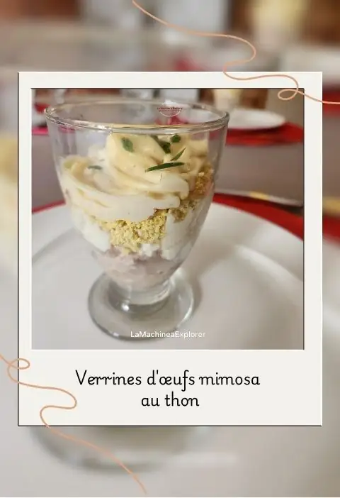 Verrines d'Œufs Mimosa au Thon Verrines d'œufs mimosa au thon 480x702 (1)