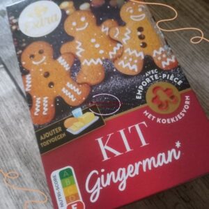 biscuits de noel aux épices (1)