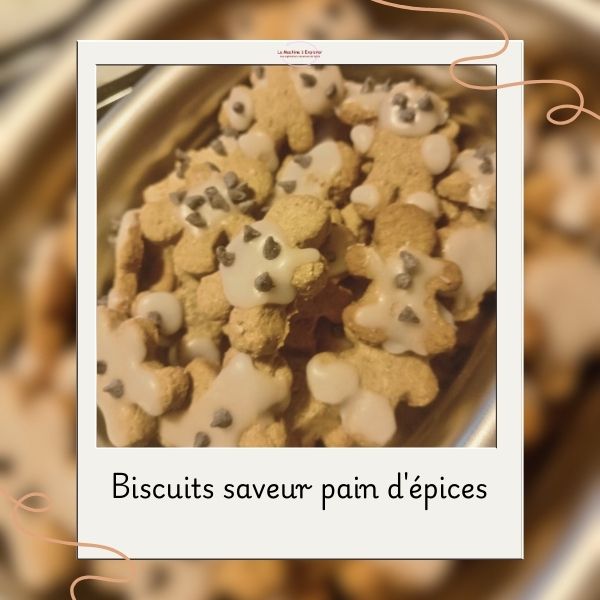 biscuits de noël aux épices (2)