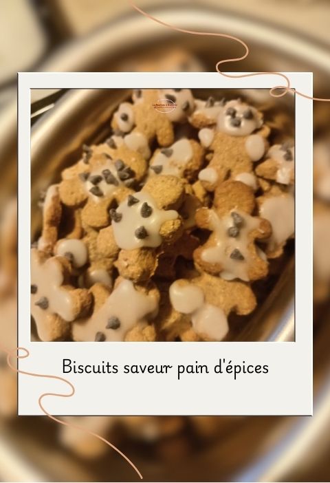 biscuits épices de noël