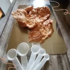 Foie Gras Mi-Cuit au Air Fryer foie gras air fryer