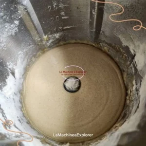 brioche de noël (5)