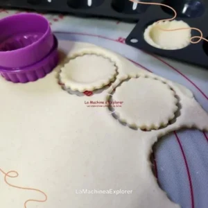 mini quicues saumon fumé 600600 (2)