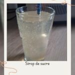 Sorbet à la mangue